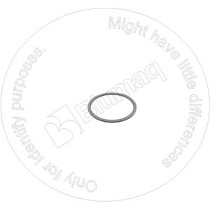 1217398 BQ