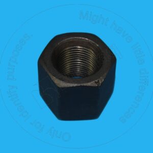 WW0031300.09 ST